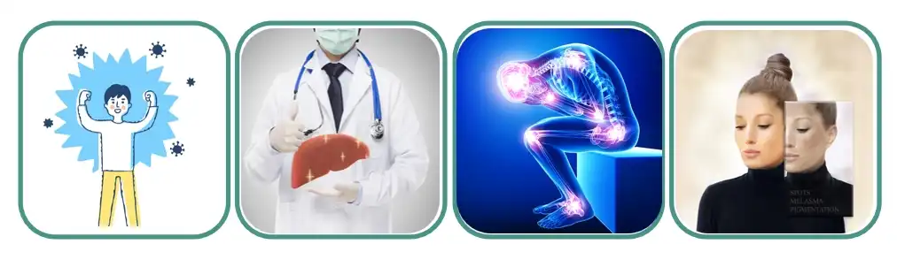 제품-1-1 제품-1-1