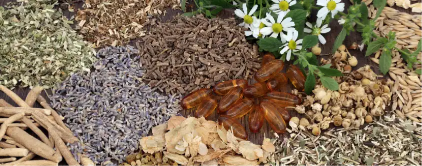 product-1-1 product-1-1