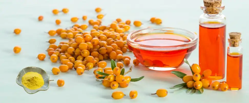 product-1-1 product-1-1