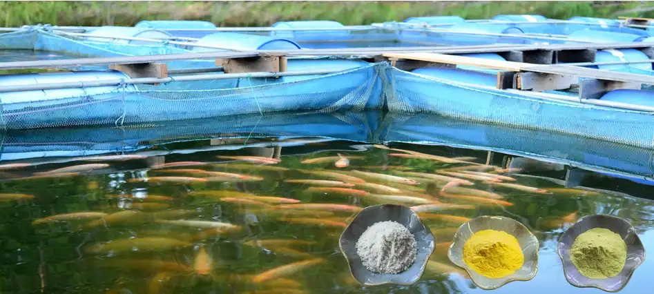 제품-1-1 제품-1-1