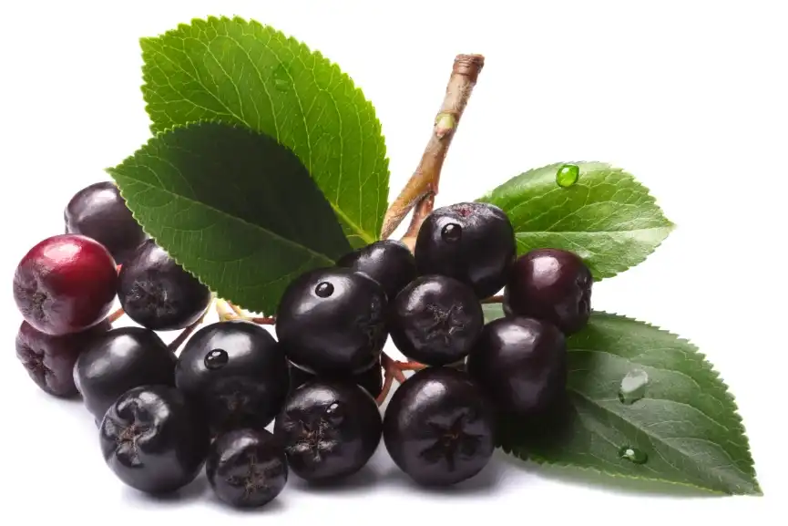 product-1-1 product-1-1