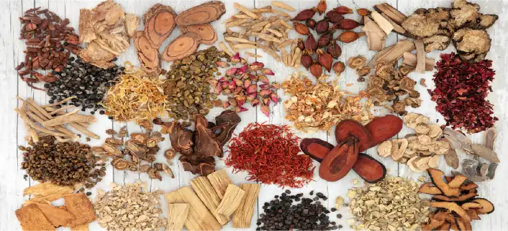 product-1-1 product-1-1