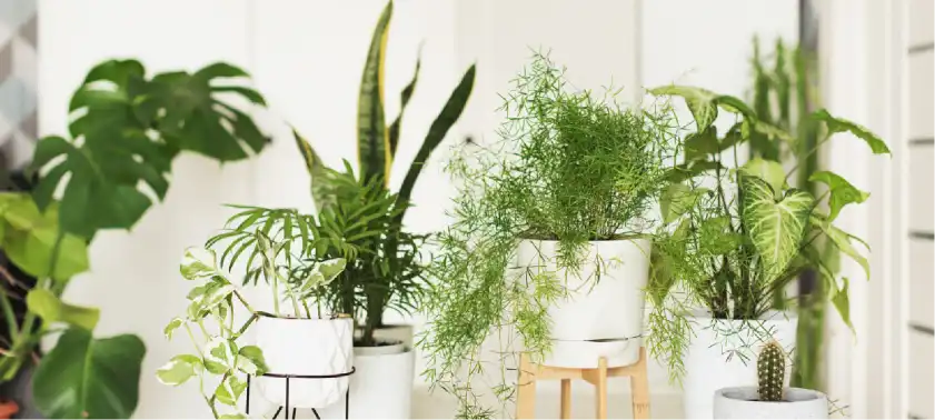 product-1-1 product-1-1