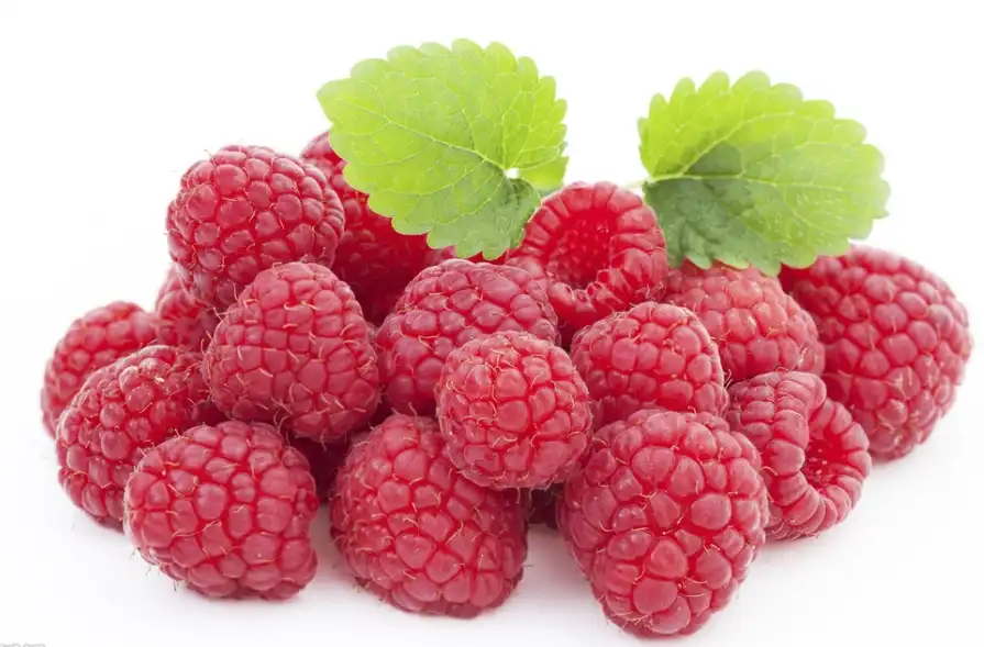 제품-1-1 제품-1-1