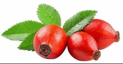 product-1-1 product-1-1