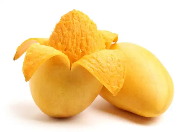 product-1-1 product-1-1