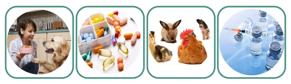 product-1-1 product-1-1