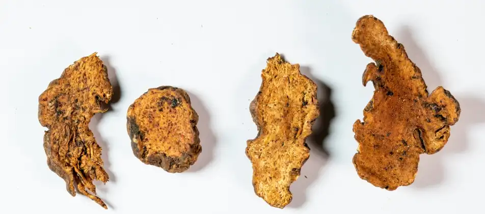 product-1-1 product-1-1