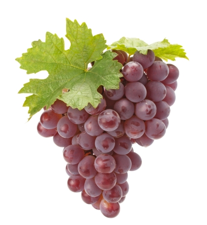 product-1-1 product-1-1