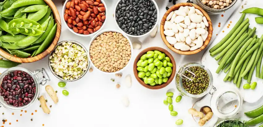 product-1-1 product-1-1