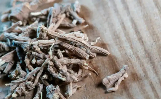 Why Cryptotanshinone is Essential in Herbal Extracts?