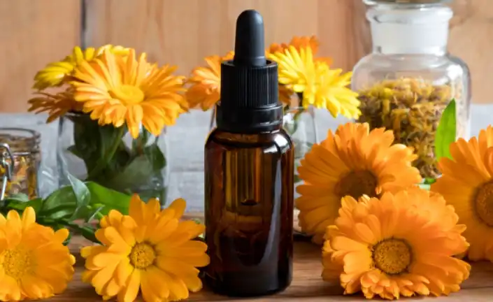 Calendula Officinalis Flower Extract for Natural Healing