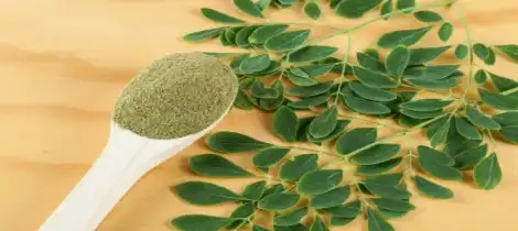 The Science Behind Pure Moringa Leaf Powder Benefits