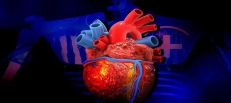 Tanshinone IIA Powder: Boost Heart Health & Circulation Naturally