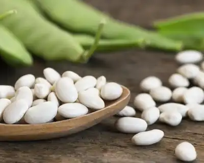 Is white kidney bean extract good for diabetics?