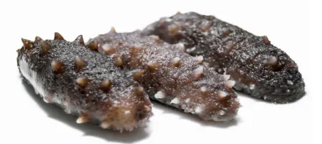 Why Sea Cucumber Powder is a Must-Have for Skin and Joint Health?