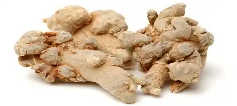 Is angelica good for the kidneys?