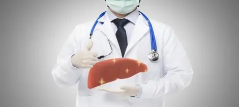 Top Benefits of Milk Thistle Extract 80% Silymarin for Liver Health