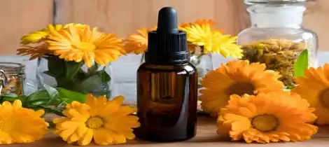 How Calendula Officinalis Flower Extract Soothes Skin?