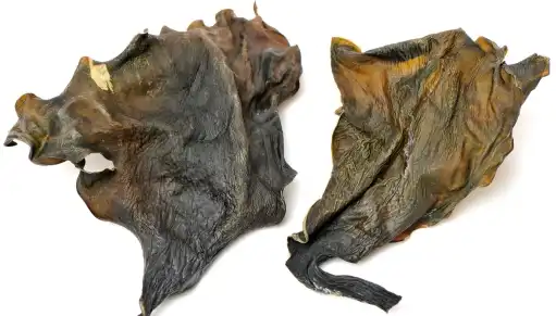 Kelp Powder in Beauty Products: Natural Skin Care