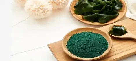 Can dogs eat spirulina powder?