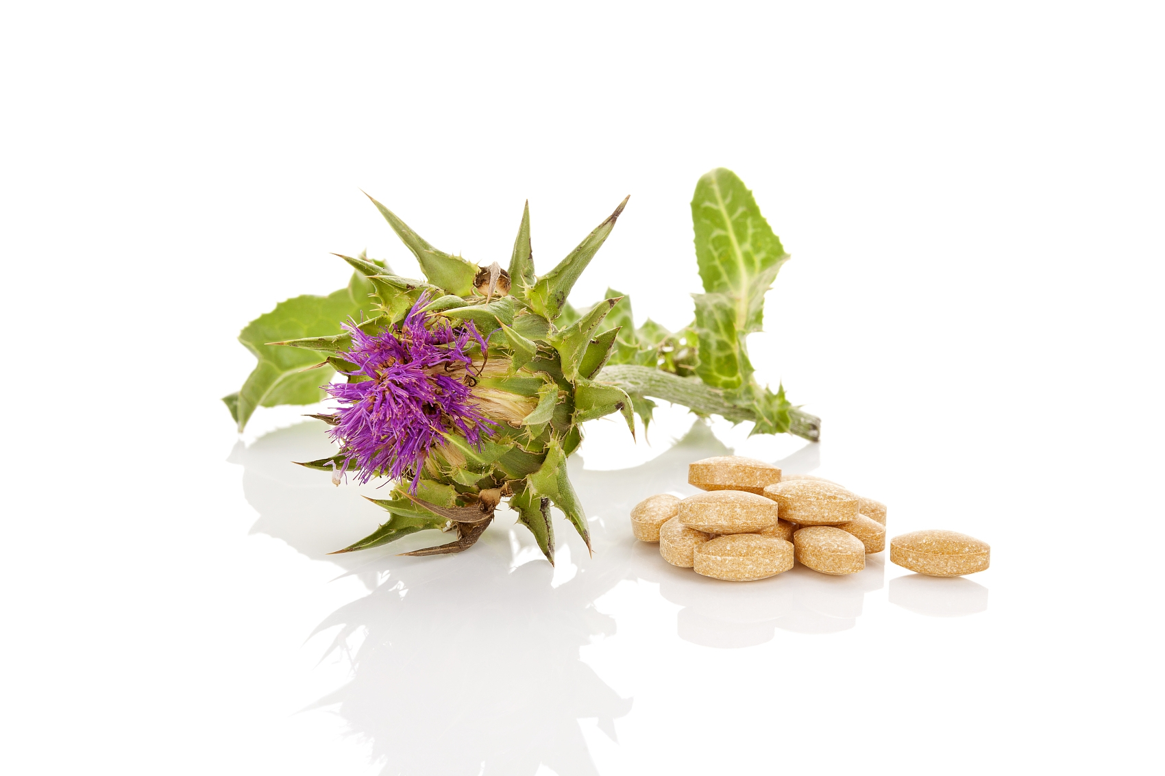 How Milk Thistle Extract 80% Silymarin Promotes Healthy Liver Function?