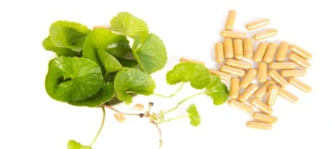Boost Your Circulation with Kudzu Root Extract Powder