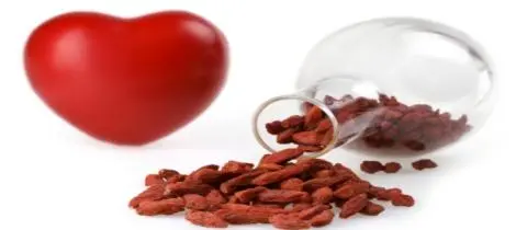 Wolfberry Juice Powder: A Natural Source of Essential Nutrients