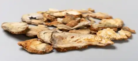 What is baicalin powder used for?