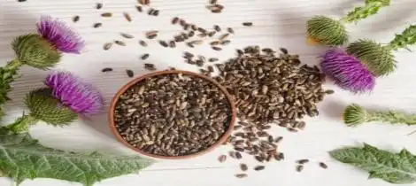 Can silymarin treat fatty liver?