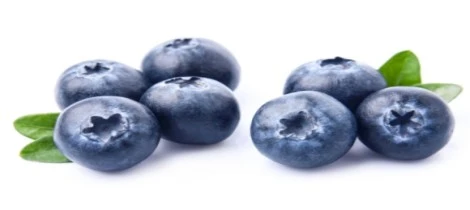 How to Dehydrate Blueberries?