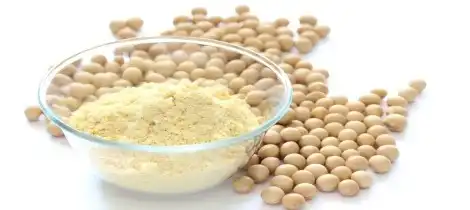 Boost Bone Health with Soy Isoflavone Powder