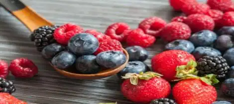 What is Proanthocyanidins?
