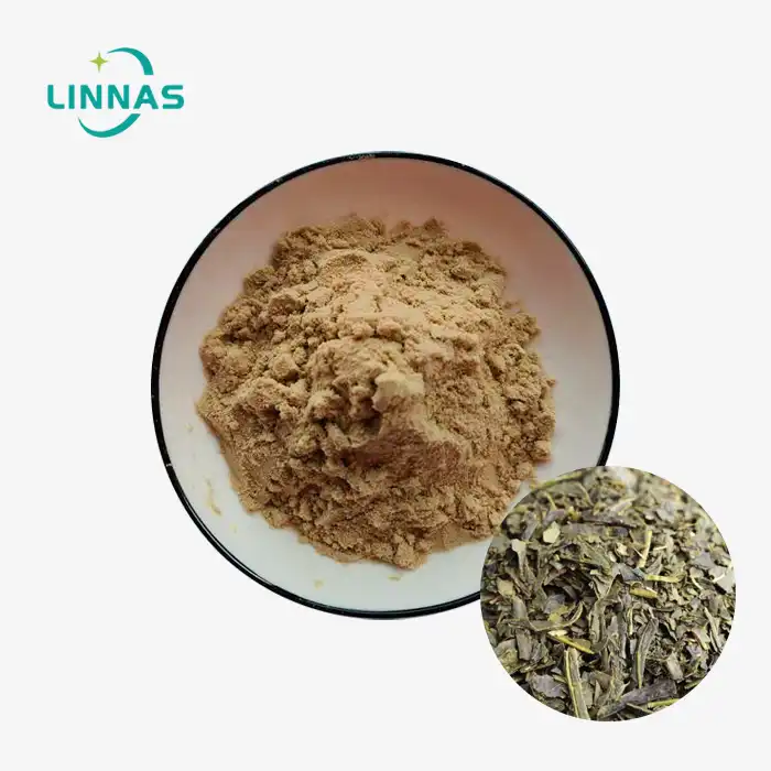 Izvleček Herba Lysimachiae v prahu